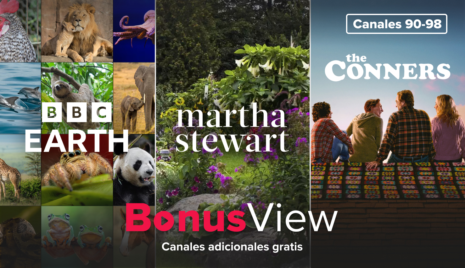 BonusView